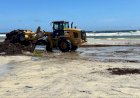 Governo do Pará realiza ação de remoção de algas na Praia do Atalaia