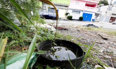 Casos de Dengue no Pará Caem Quase pela Metade no Início de 2025, mas Óbitos Triplicam