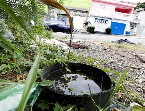 Casos de Dengue no Pará Caem Quase pela Metade no Início de 2025, mas Óbitos Triplicam
