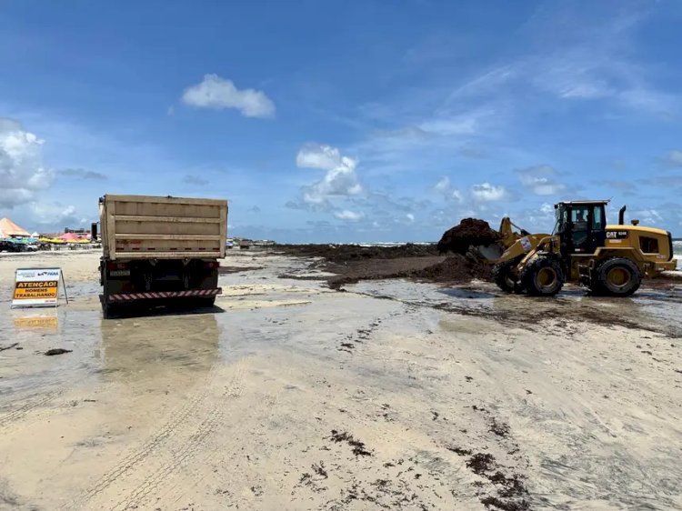Governo do Pará realiza ação de remoção de algas na Praia do Atalaia