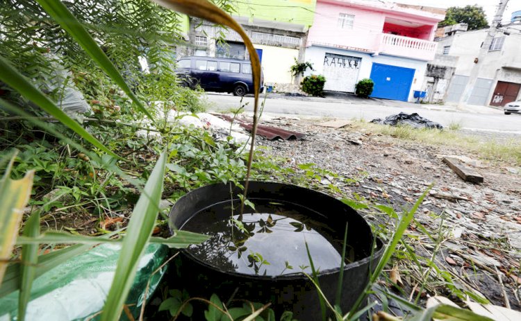 Casos de Dengue no Pará Caem Quase pela Metade no Início de 2025, mas Óbitos Triplicam